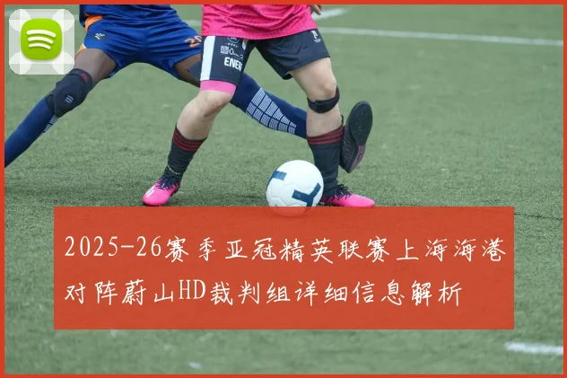 2025-26赛季亚冠精英联赛上海海港对阵蔚山HD裁判组详细信息解析