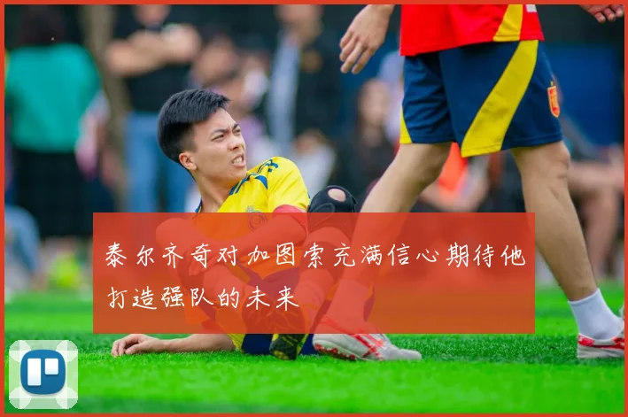 泰尔齐奇对加图索充满信心期待他打造强队的未来