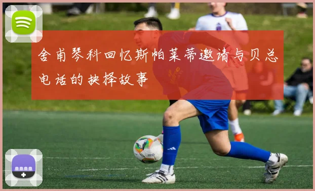 舍甫琴科回忆斯帕莱蒂邀请与贝总电话的抉择故事